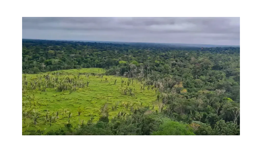 Lula sanciona lei que cria mercado regulado de carbono no Brasil…