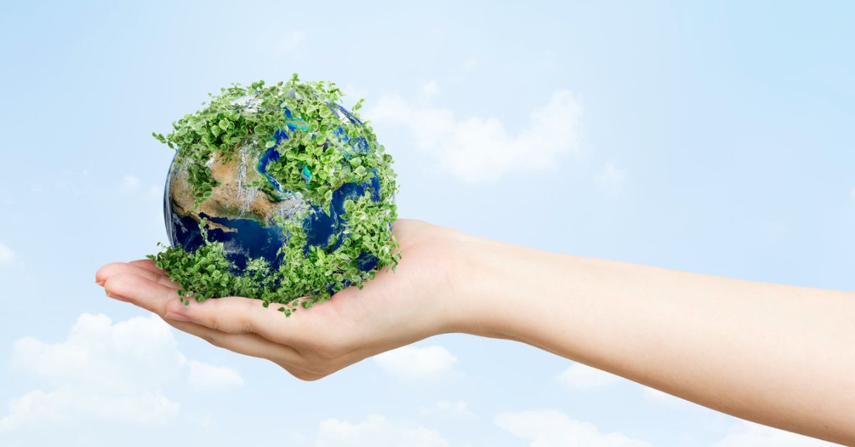 Crédito de carbono virou lei; saiba como vai funcionar