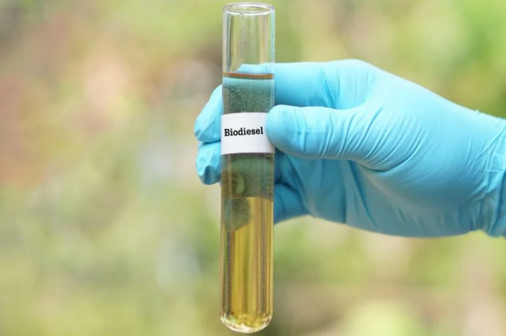 Brasil Acelera na Rota do Biodiesel com Meta de Mistura de 20% até 2030