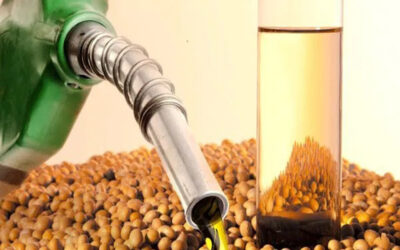 Fiscalização do biodiesel coloca em lados opostos pastas de Haddad e Silveira