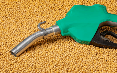 Acordo entre produtores de biodiesel e distribuidoras pode evitar suspensão da mistura no diesel