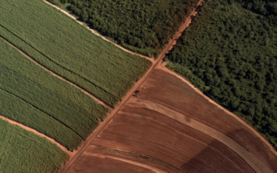 Comissão da Câmara aprova uso de crédito de carbono para pagamento de impostos sobre atividade rural