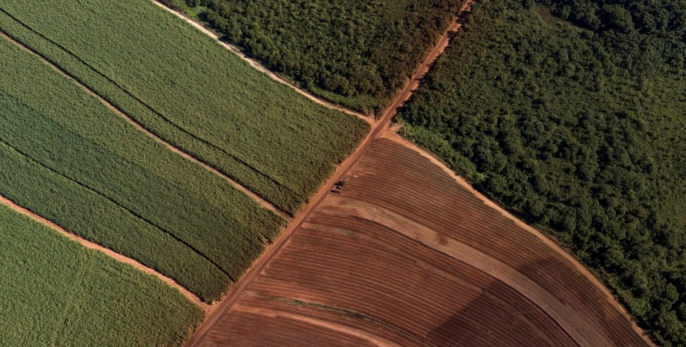 Comissão da Câmara aprova uso de crédito de carbono para pagamento de impostos sobre atividade rural