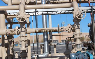 Biodiesel sustenta alta pela segunda semana