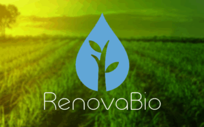 RenovaBio: foi publicada, hoje (21/07), pela ANP, primeira lista de distribuidores de combustíveis inadimplentes com metas