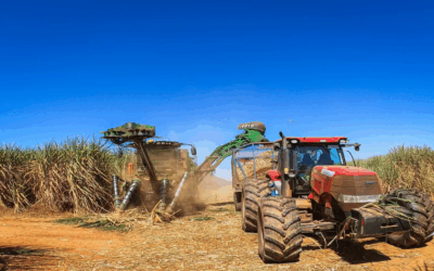 Tarifaço impõe custo de mais de US$ 100 milhões às usinas de açúcar e etanol