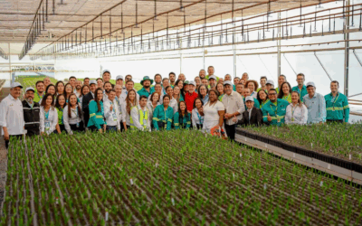 MG ganha centro pioneiro de produção de biocombustíveis de macaúba