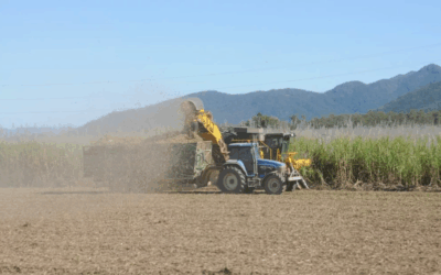 Brasil precisará dobrar produtividade da cana para atender nova era do etanol