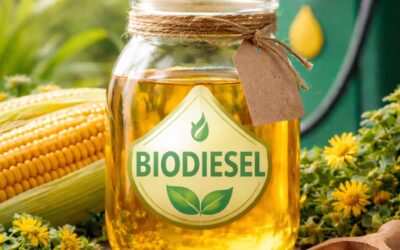 Setor do biodiesel busca apoio no governo para evitar importação