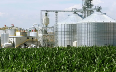 Biocombustíveis se fortalecem com aumento no preço do petróleo